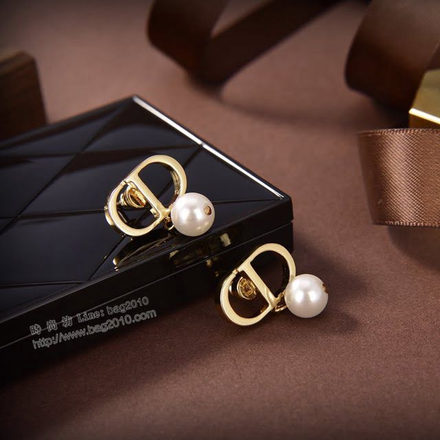 Dior飾品 2021新款DIOR迪奧字母耳釘耳環  zgd1399